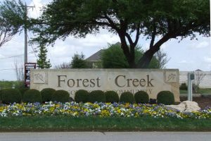 Forest Creek